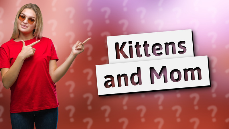 Kittens and Mom