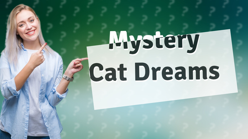 Mystery Cat Dreams