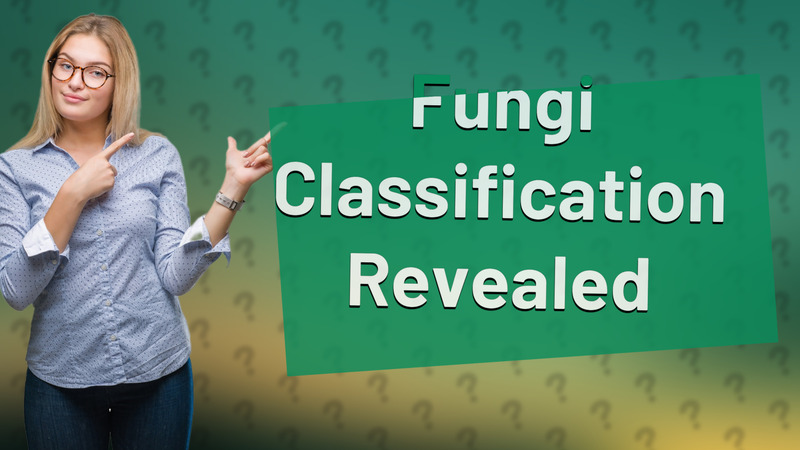 Fungi Classification Revealed