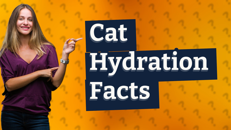 Cat Hydration Facts