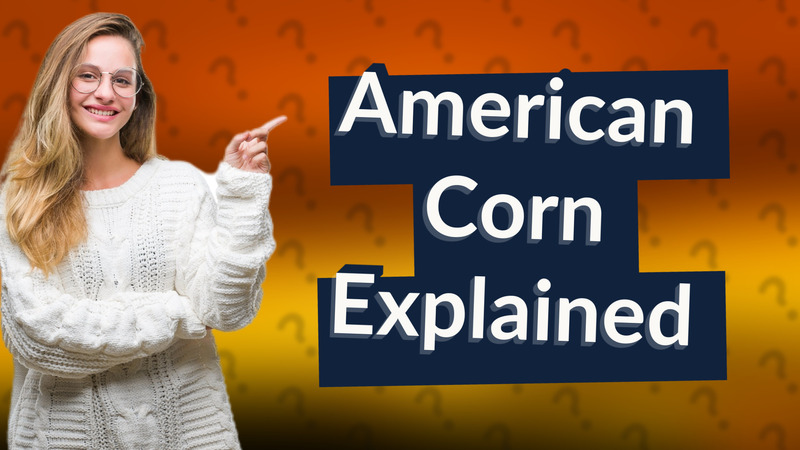 American Corn Explained