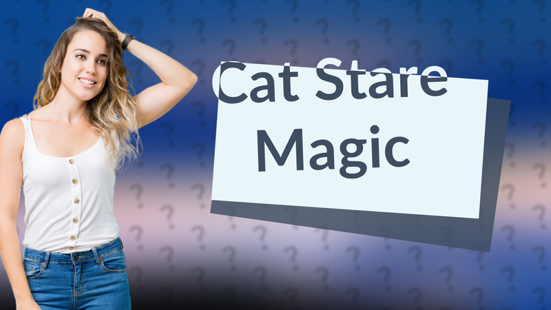 Cat Stare Magic