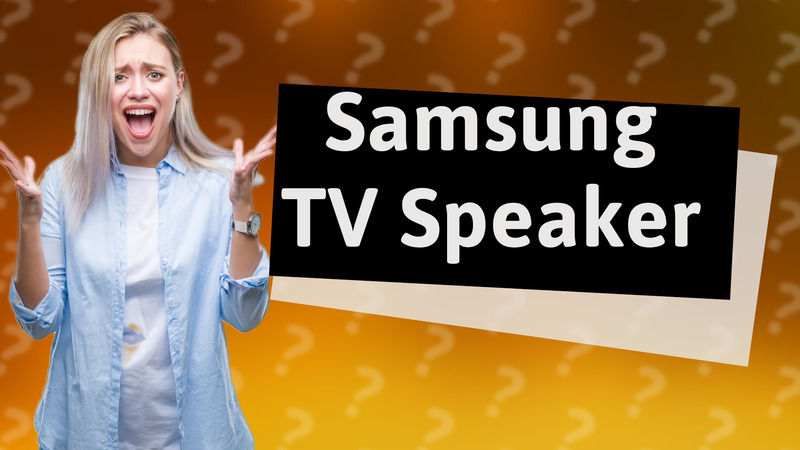 Samsung TV Speaker