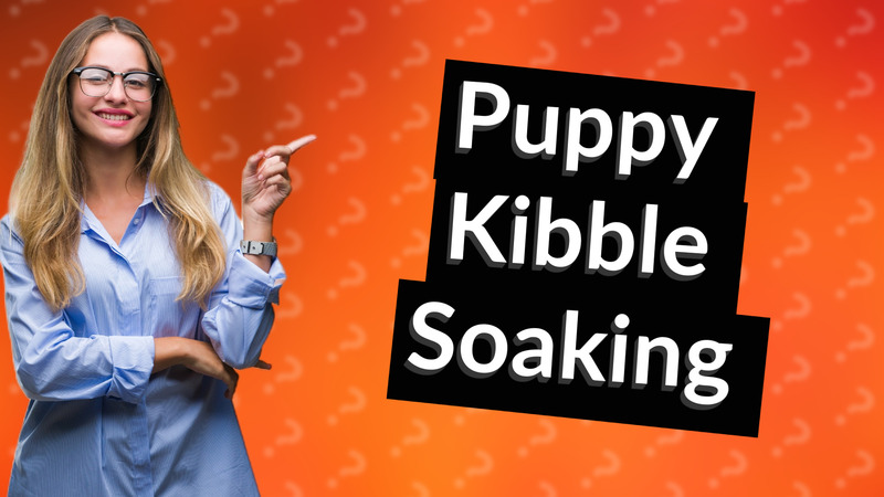 Puppy Kibble Soaking