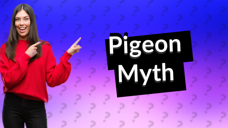 Pigeon Myth