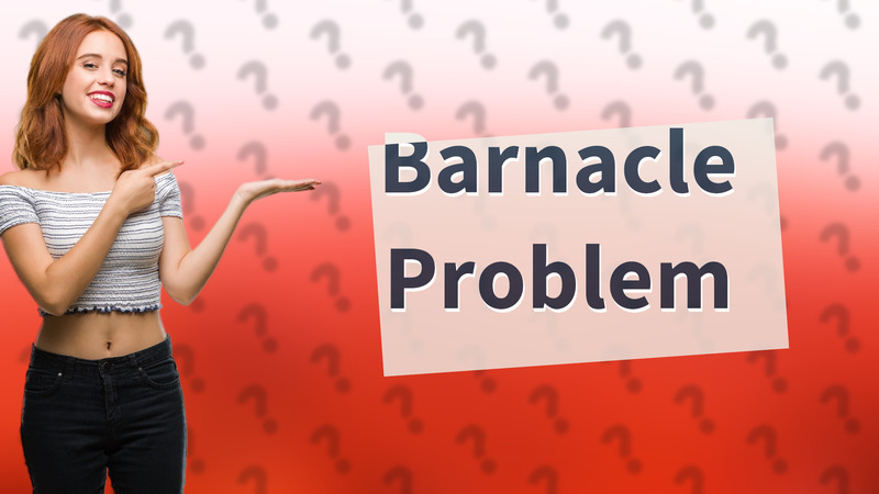 Barnacle Problem