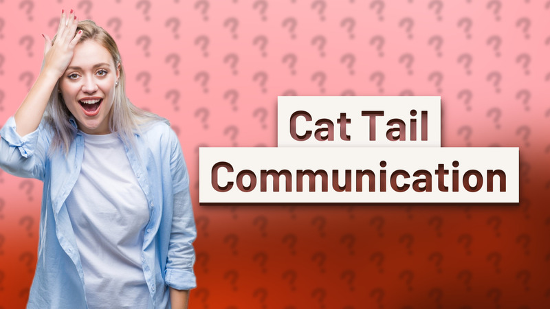 Cat Tail Communication