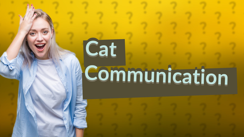 Cat Communication
