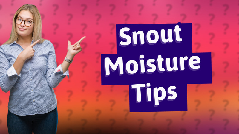 Snout Moisture Tips