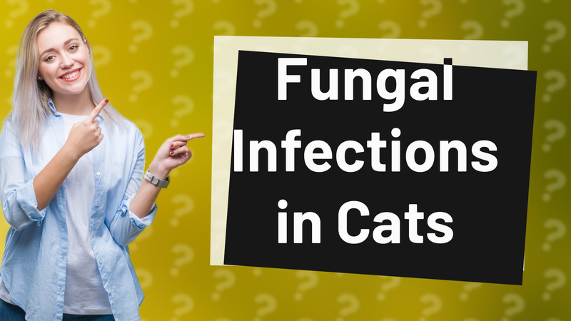 Fungal Infections in Cats
