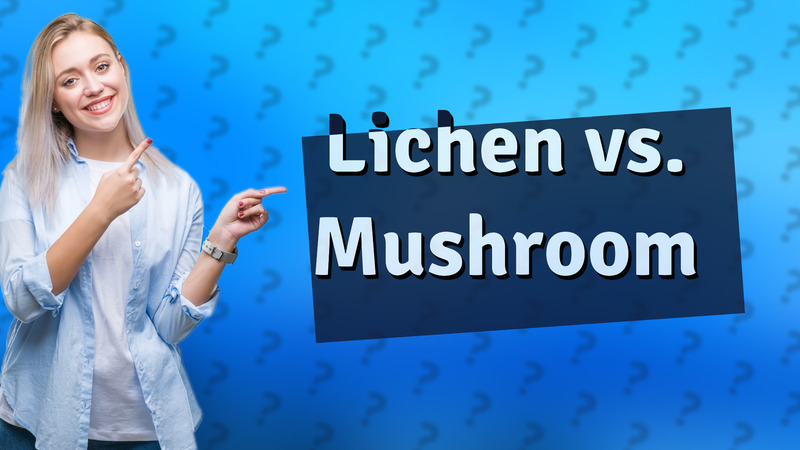 Lichen vs. Mushroom