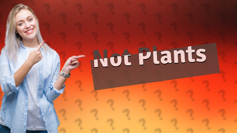 Not Plants