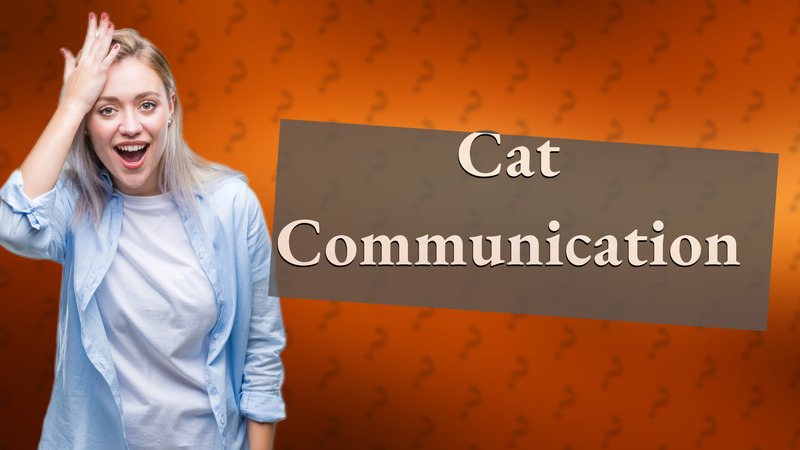 Cat Communication