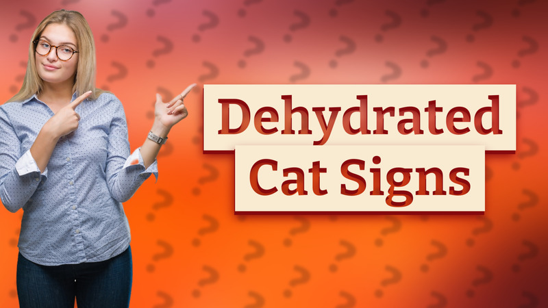 Dehydrated Cat Signs
