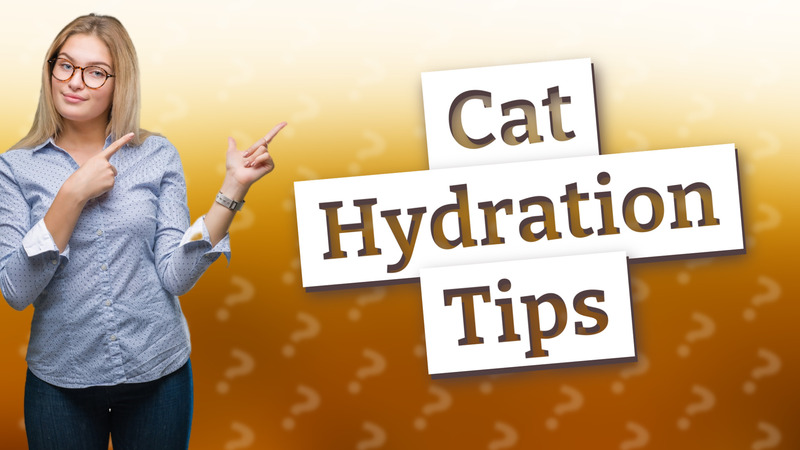 Cat Hydration Tips