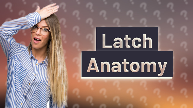 Latch Anatomy