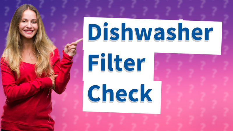 Dishwasher Filter Check