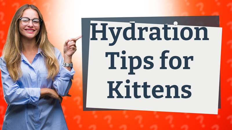 Hydration Tips for Kittens