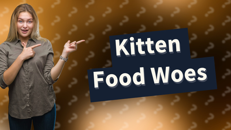 Kitten Food Woes
