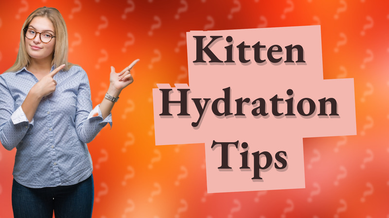 Kitten Hydration Tips