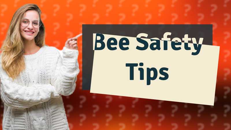 Bee Safety Tips