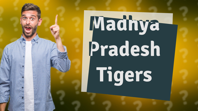 Madhya Pradesh Tigers