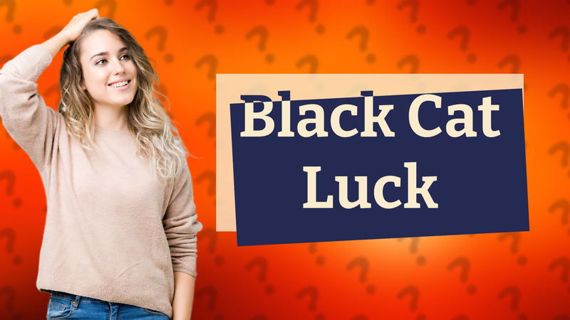 Black Cat Luck