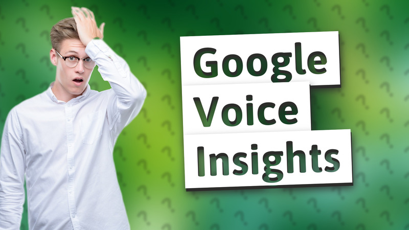 Google Voice Insights