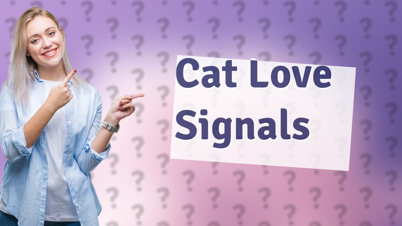 Cat Love Signals