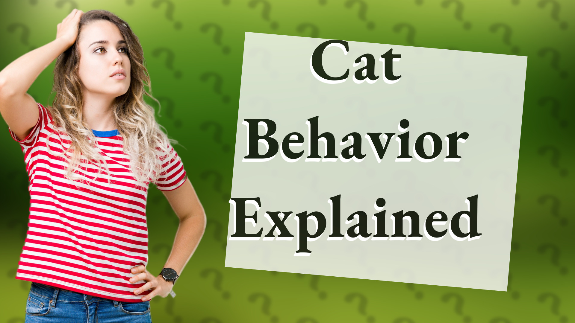 Cat Behavior Explained