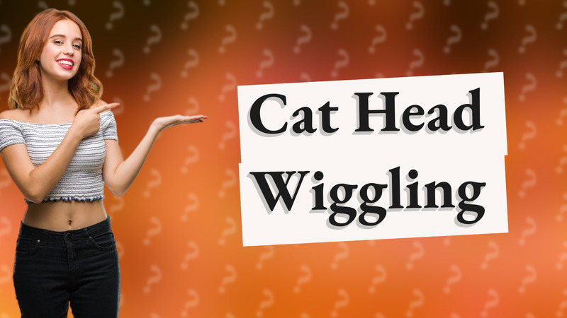 Cat Head Wiggling