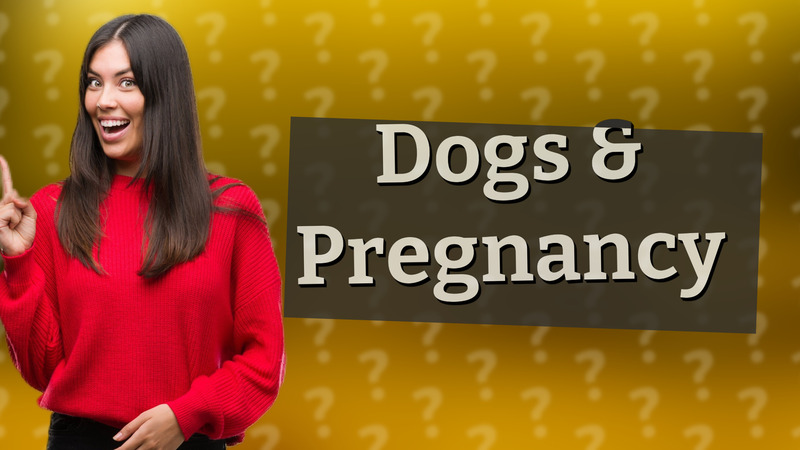 Dogs & Pregnancy