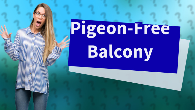 Pigeon-Free Balcony