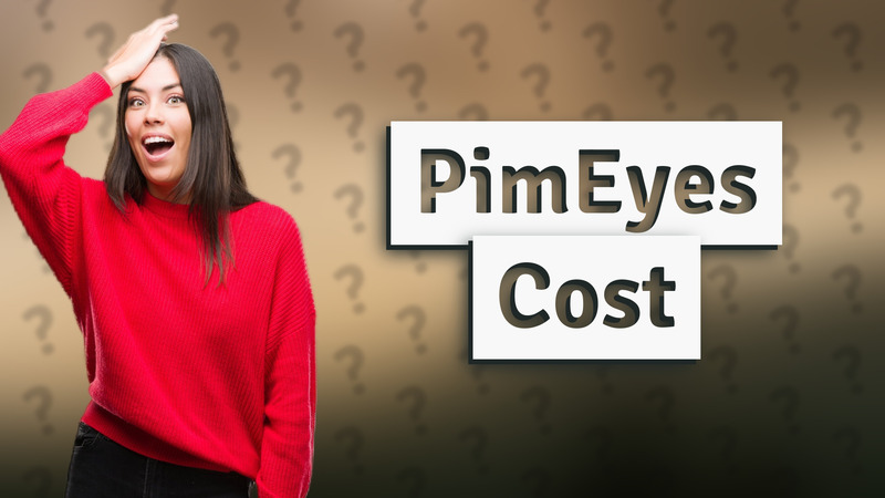 PimEyes Cost