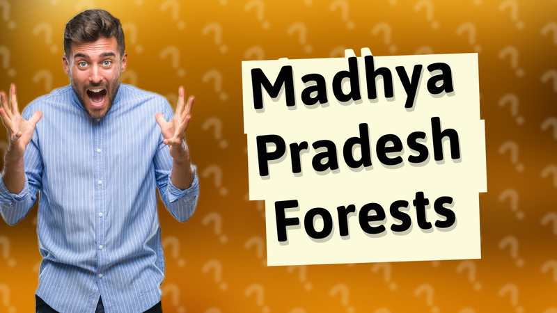 Madhya Pradesh Forests