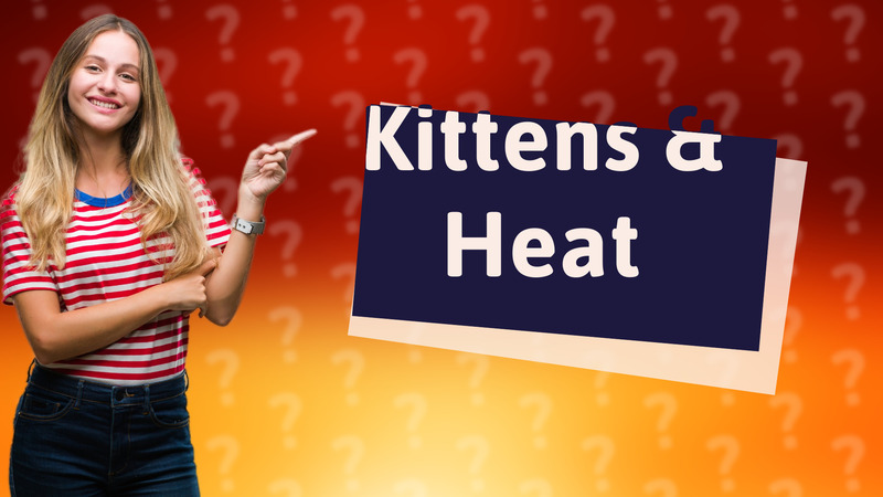 Kittens & Heat
