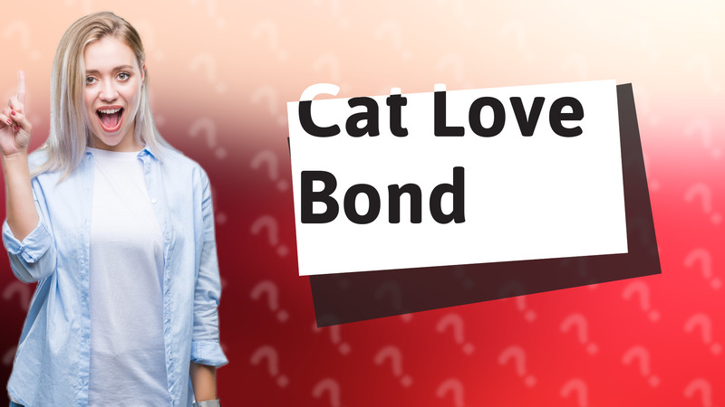 Cat Love Bond
