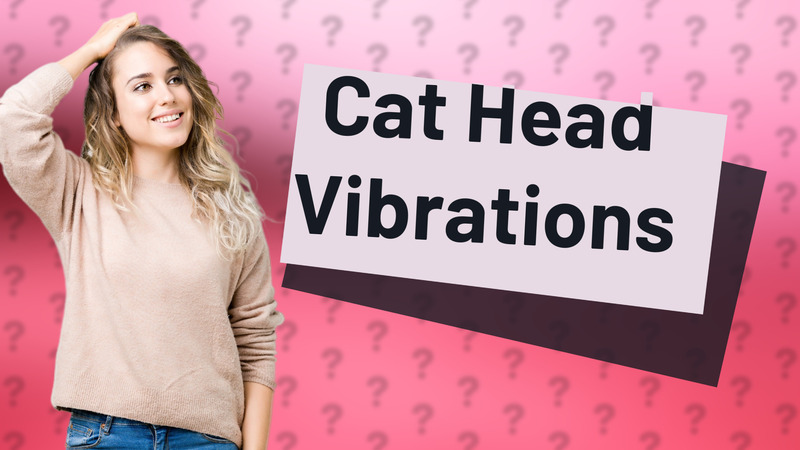 Cat Head Vibrations