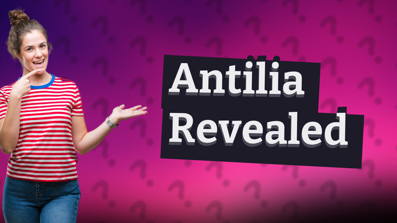 Antilia Revealed