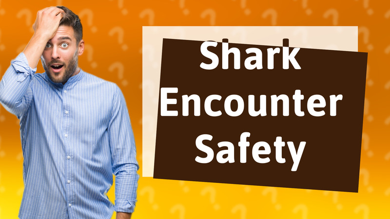 Shark Encounter Safety