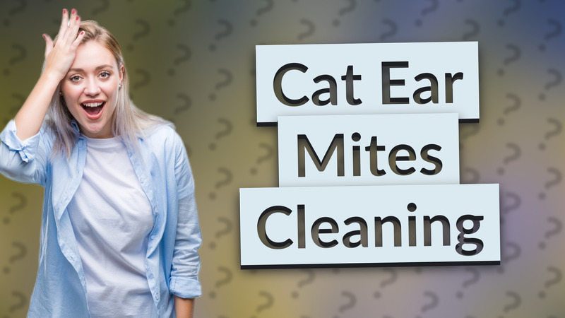 Cat Ear Mites Cleaning