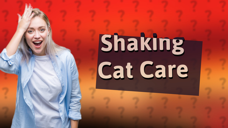 Shaking Cat Care