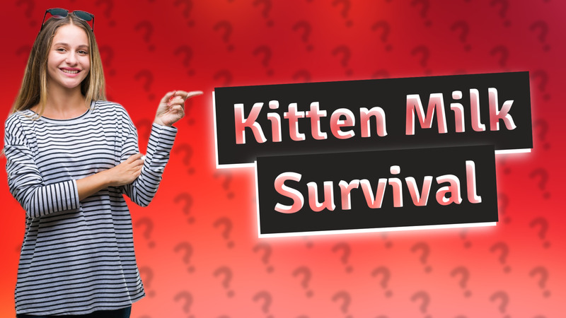 Kitten Milk Survival