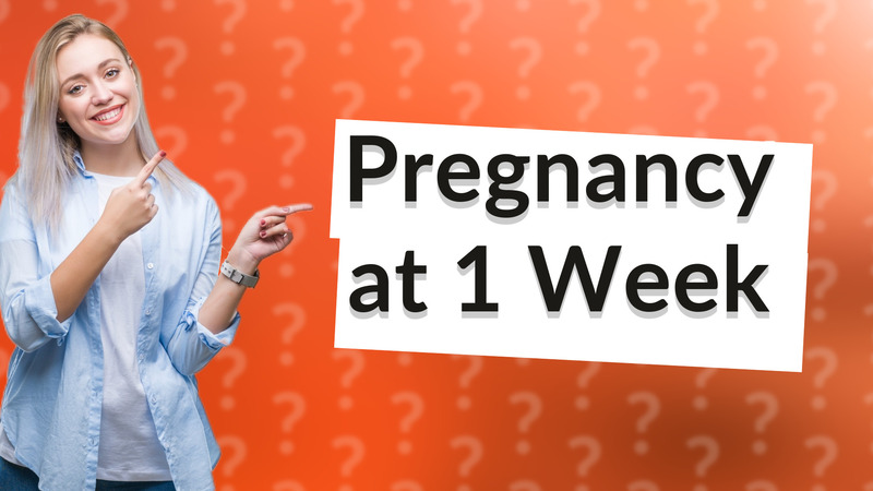 Pregnancy at 1 Week