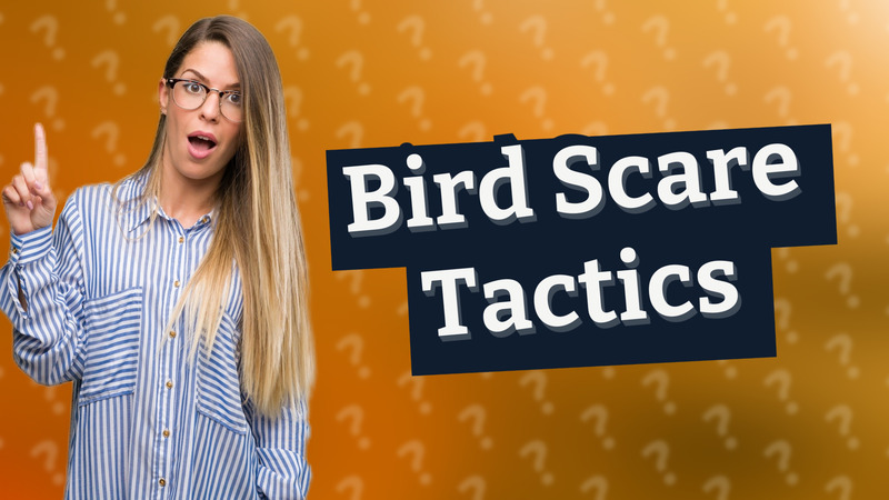 Bird Scare Tactics