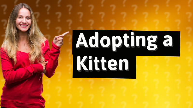 Adopting a Kitten