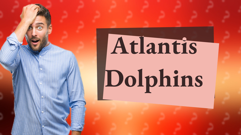 Atlantis Dolphins