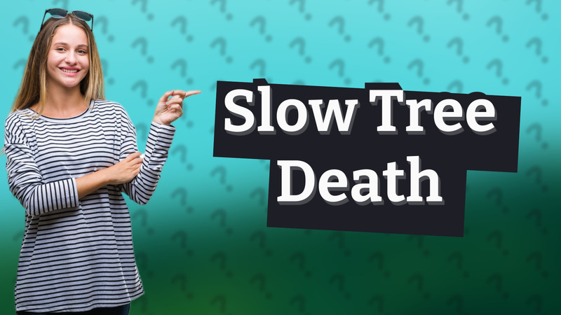 Slow Tree Death