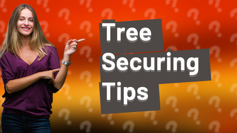 Tree Securing Tips