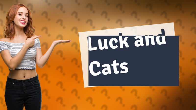 Luck and Cats